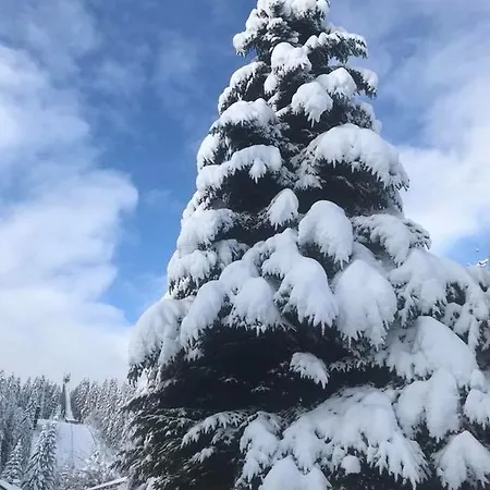 Hotel Adlerschanze Schoenwald im Schwarzwald