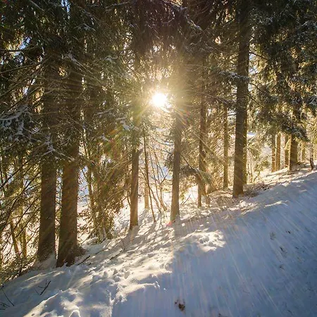 Hotel Adlerschanze 3*