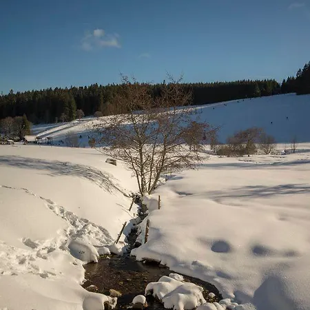 Hotel Adlerschanze Schoenwald im Schwarzwald